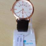 Montre Daniel Powter en Cuir